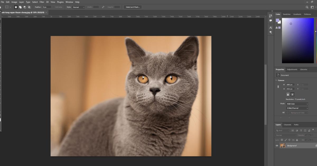 Cách tách ảnh khỏi nền bằng Photoshop: Tải ảnh vào phần mềm