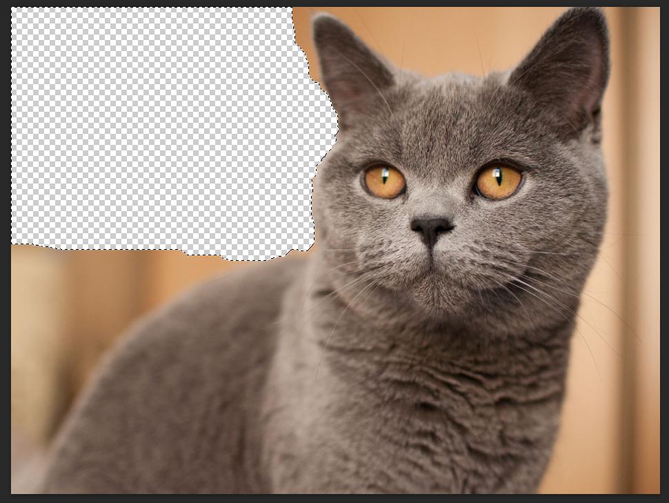 Cách tách ảnh khỏi nền bằng Photoshop: Xóa vùng chọn