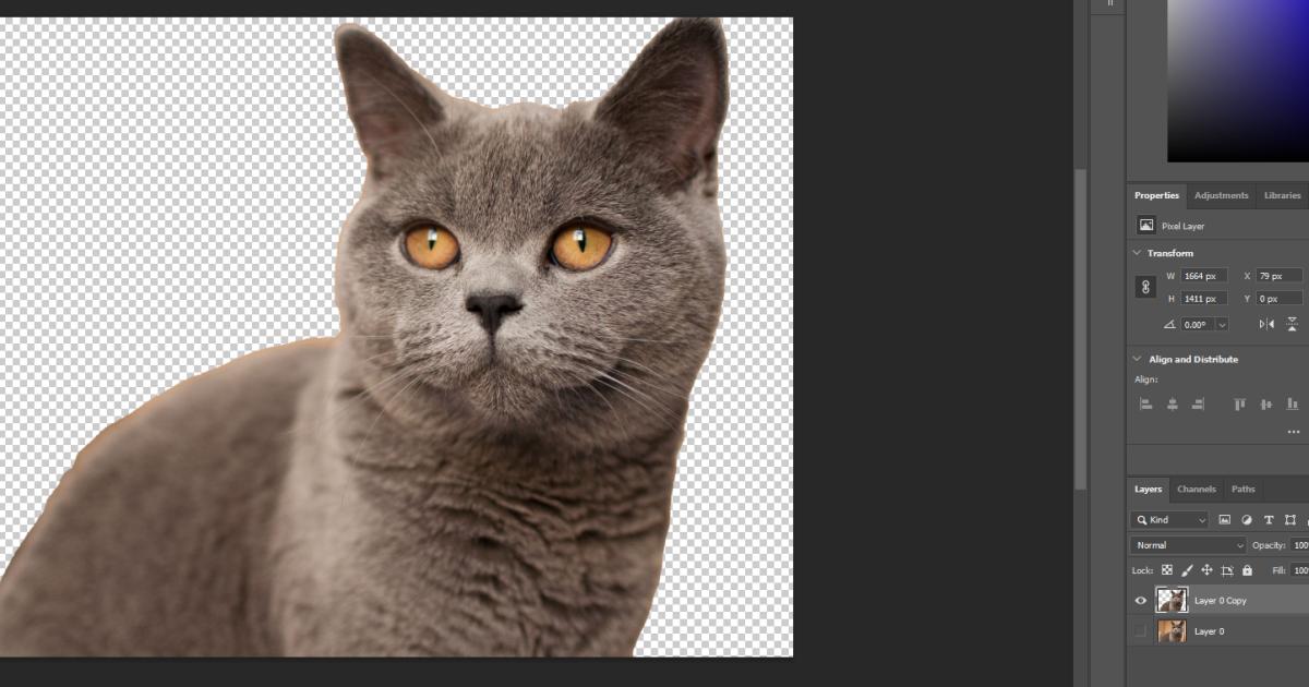 Cách tách ảnh khỏi nền bằng Photoshop: Kết quả tách ảnh khỏi nền