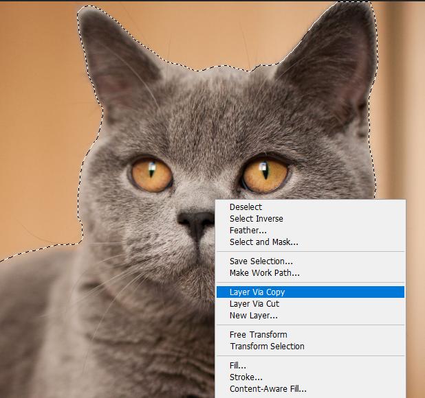 Cách tách ảnh khỏi nền bằng Photoshop: Tạo layer mới
