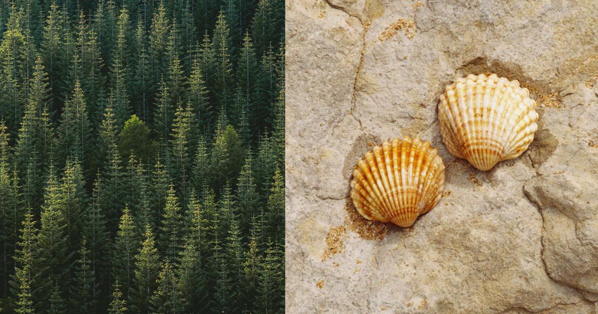 Pattern trong thiết kế  1