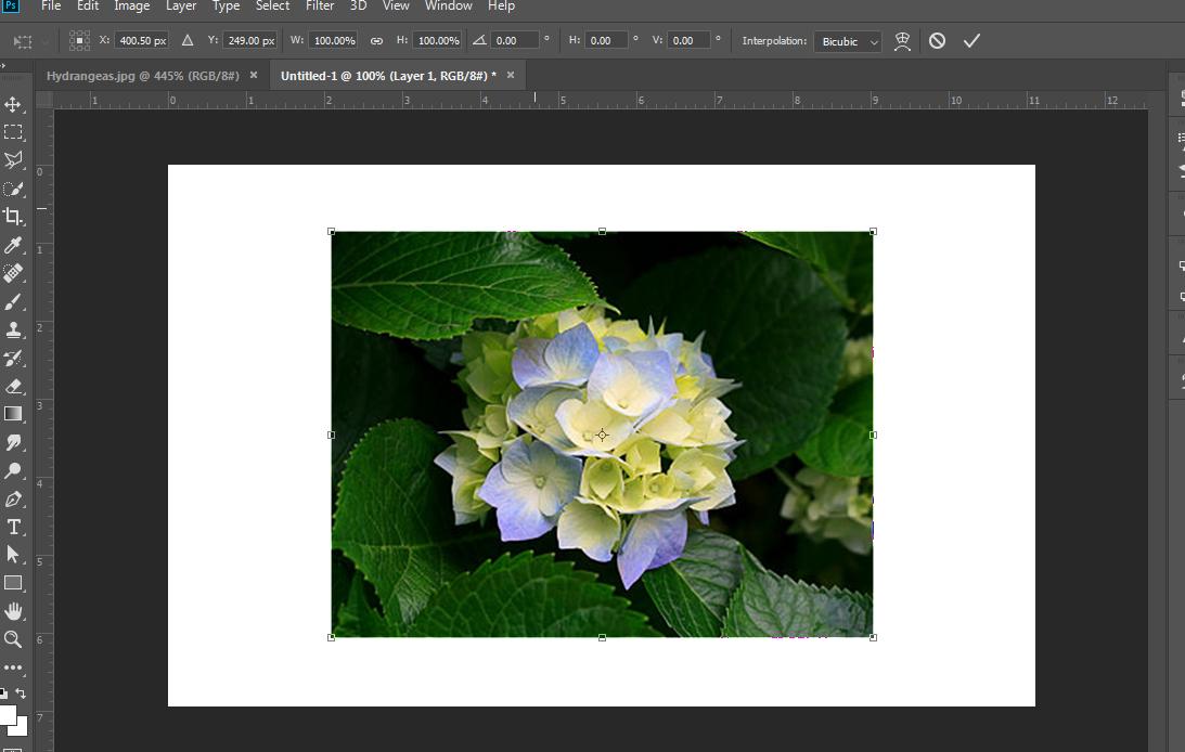 lỗi thiết kế đồ họa 1