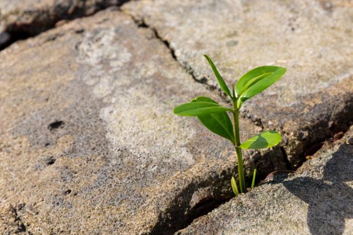 Luôn tìm kiếm thử thách để chinh phục là một trong những cách phát triển AQ