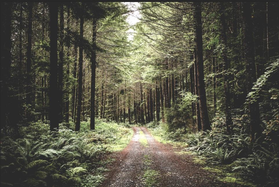 Hình ảnh đã được chỉnh sáng bằng Exposure