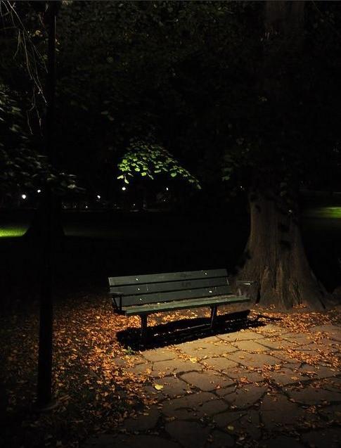 Trước khi chỉnh sáng ảnh bằng Levels