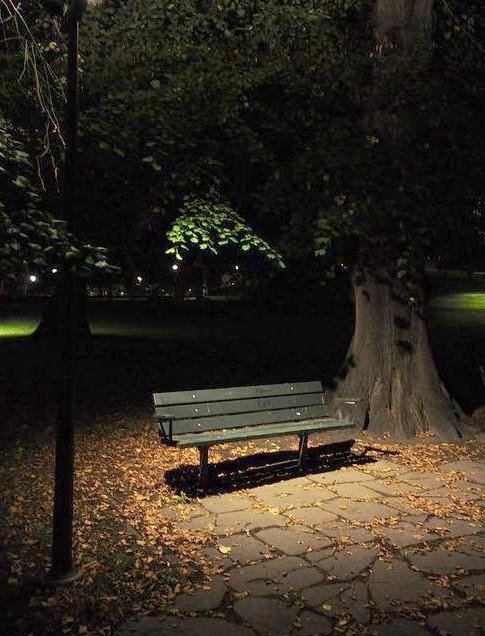 Sau khi chỉnh sáng ảnh bằng Levels