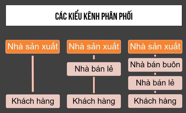 kenh-phan-phoi-la-gi