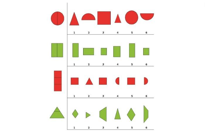 Woodcock-Johnson Test of Cognitive Abilities cung cấp thông tin về khả năng hình dung không gian