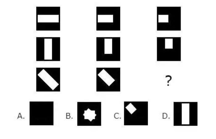 Cattell Culture Fair Intelligence Test đo lường khả năng phân tích và giải quyết vấn đề trừu tượng