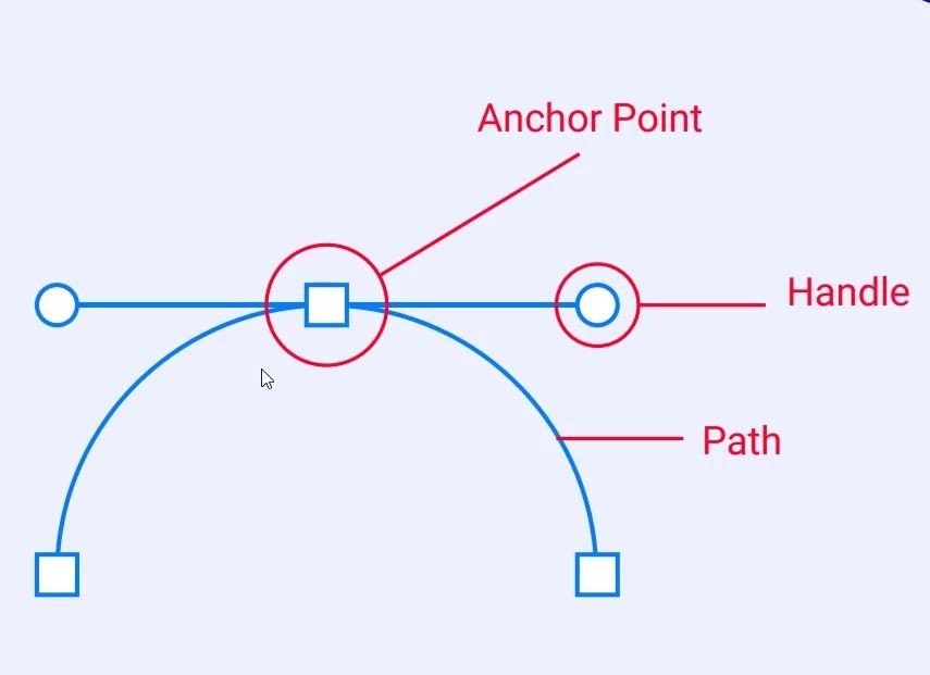 Các đối tượng cần lưu ý khi sử dụng pen tool trong photoshop