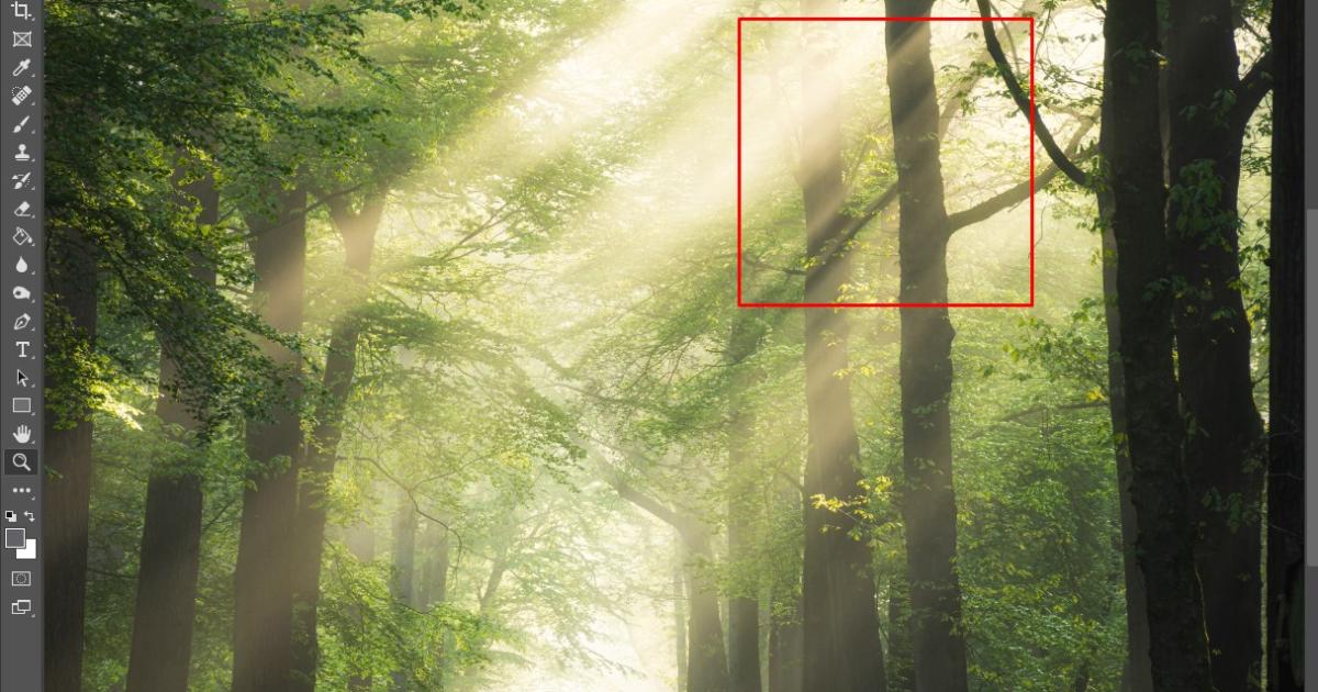 Phóng to vị trí trong ảnh bằng Zoom Tool