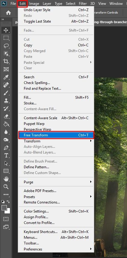 Chọn Free Transform để phóng to ảnh trong photoshop