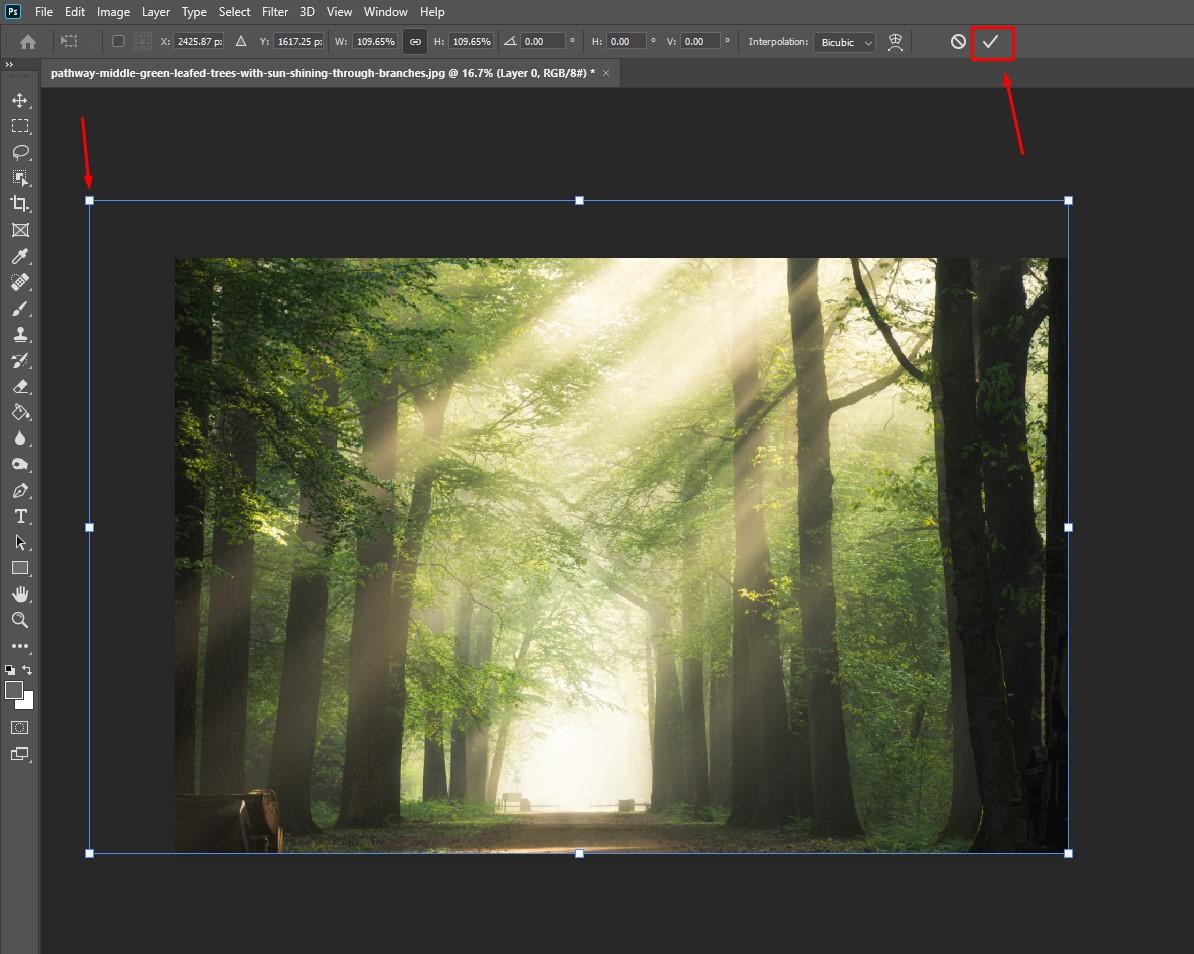 Kéo thả để phóng to ảnh trong photoshop