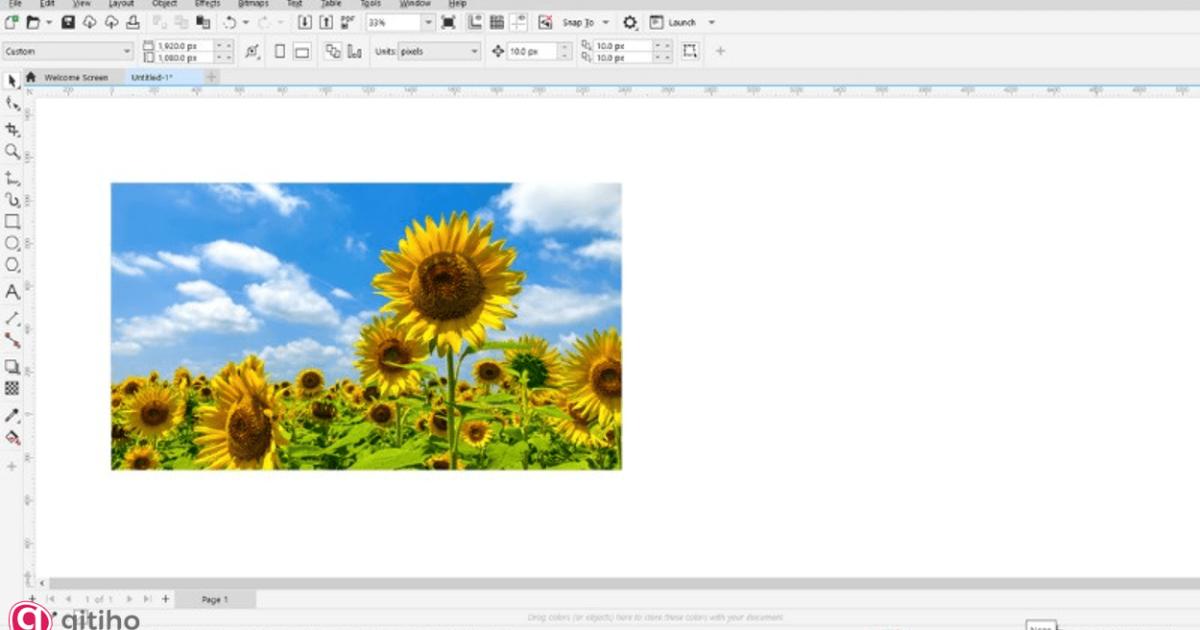 Làm mờ viền hình ảnh trong Corel (1)