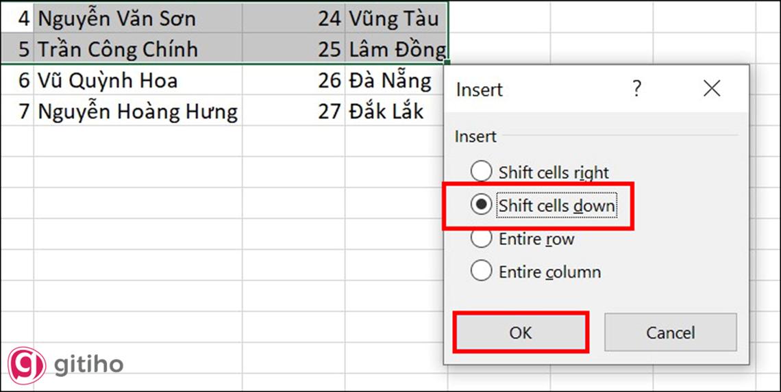 Sử dụng công cụ Insert để chèn dòng mới trong excel (2)