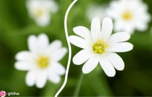 Hướng dẫn các tách đổi tượng trong Corel