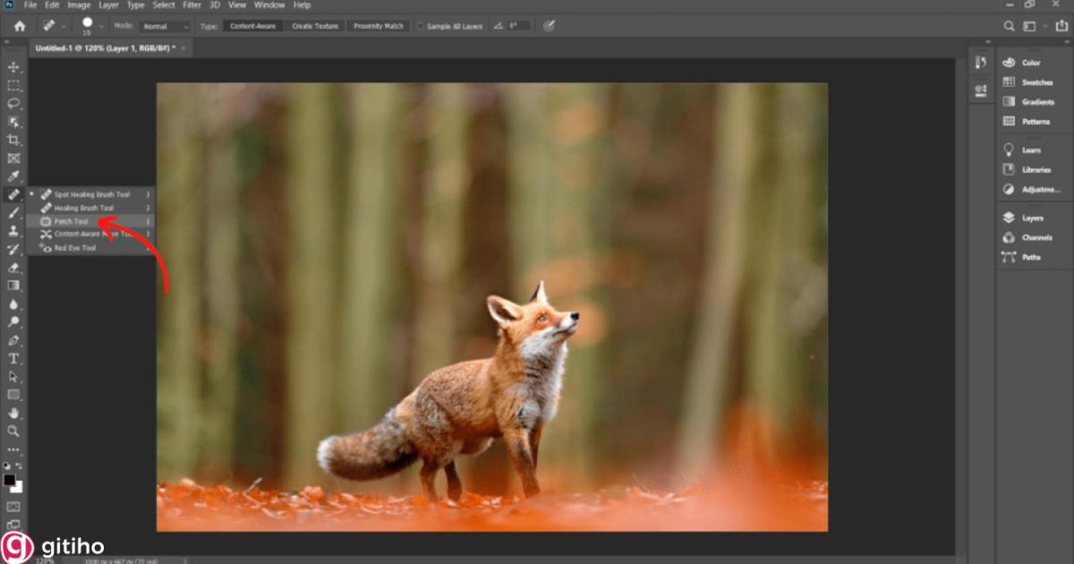 Cách xóa vật thể trong Photoshop bằng Patch Tool (1)