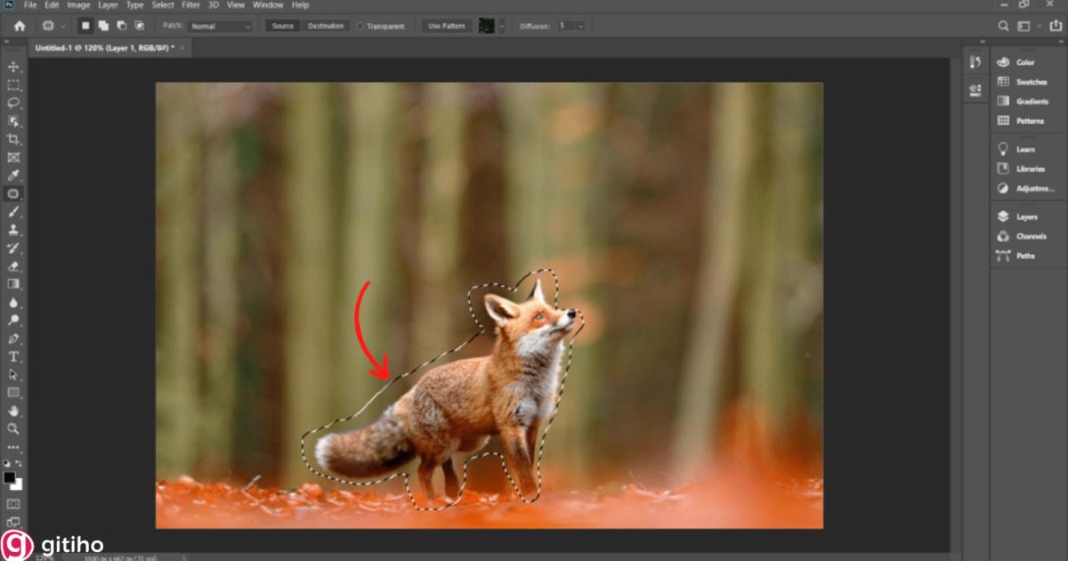 Cách xóa vật thể trong Photoshop bằng Patch Tool (2)
