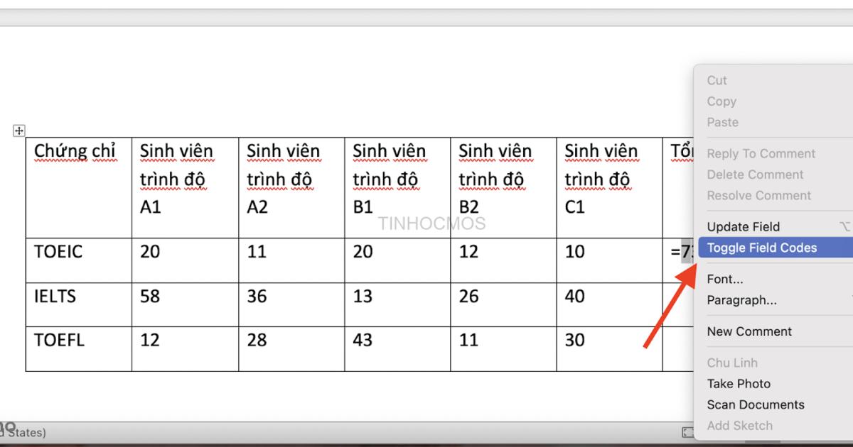 Lưu ý khi tính tổng trong Word