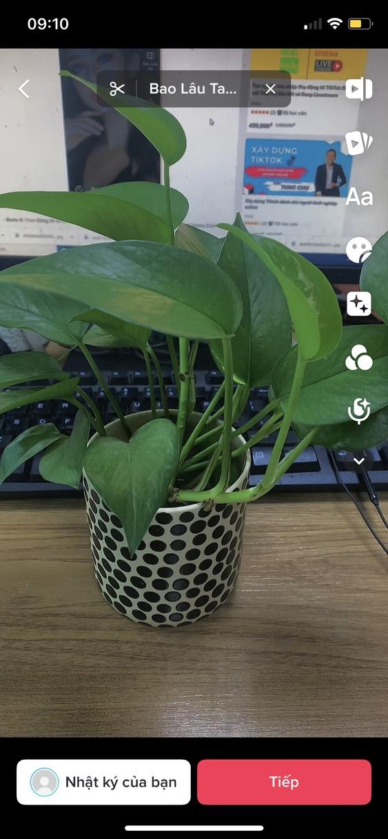 cach-chinh-mau-tiktok-dep-6