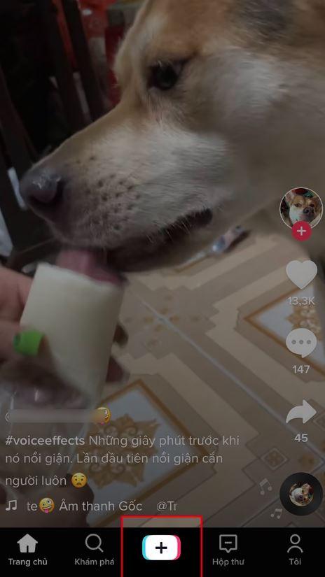 cach-chup-anh-tren-tiktok-2