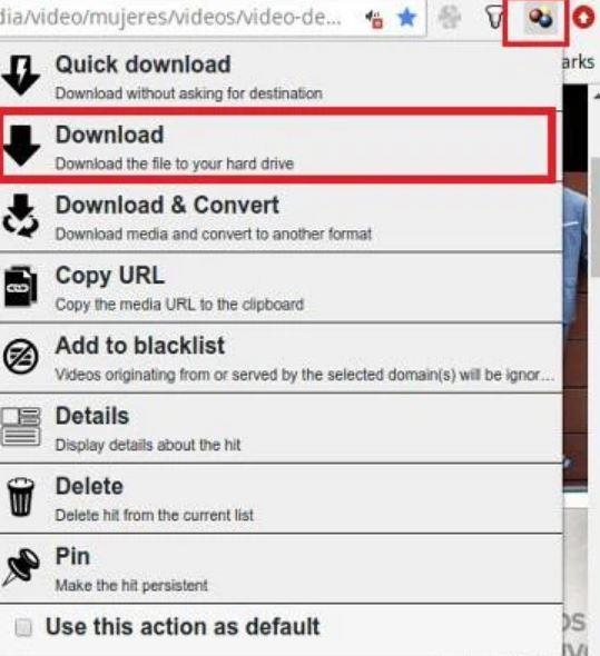 Cách tải giọng chị Google trên máy tính bằng Tiện ích DownloadHelper 4