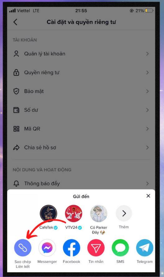 sao-chep-lien-ket-tiktok-10