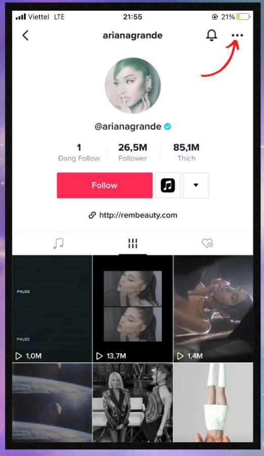 sao-chep-lien-ket-tiktok-11