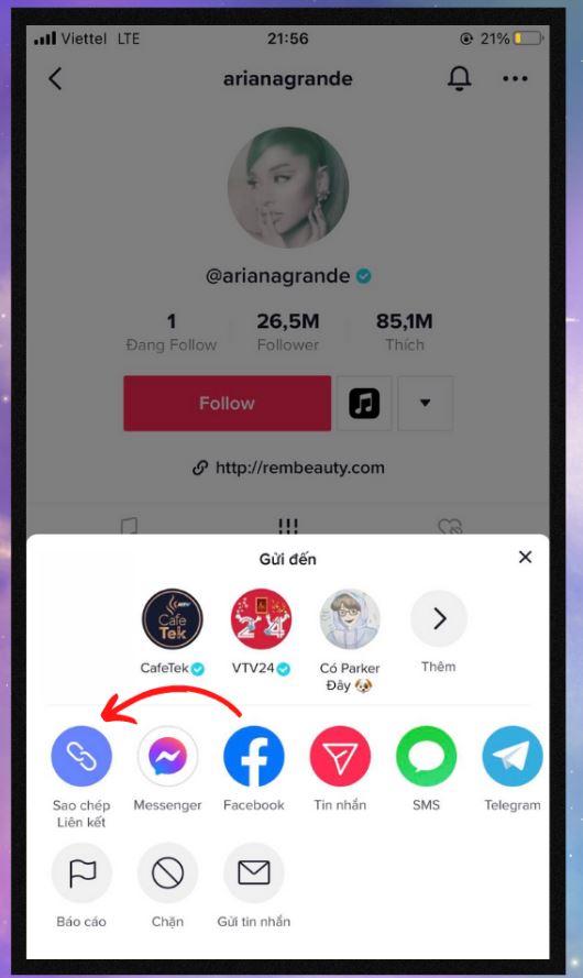 sao-chep-lien-ket-tiktok-12