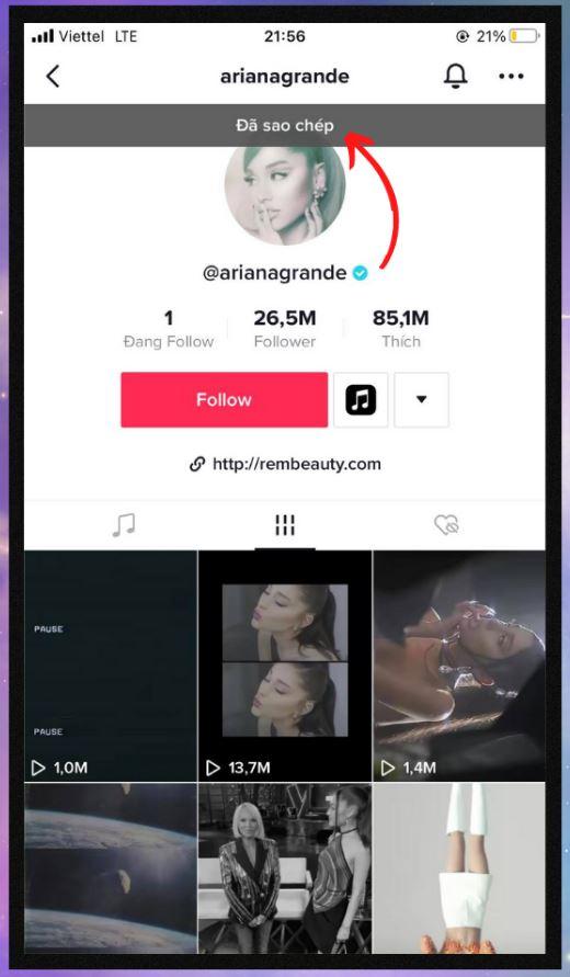sao-chep-lien-ket-tiktok-13