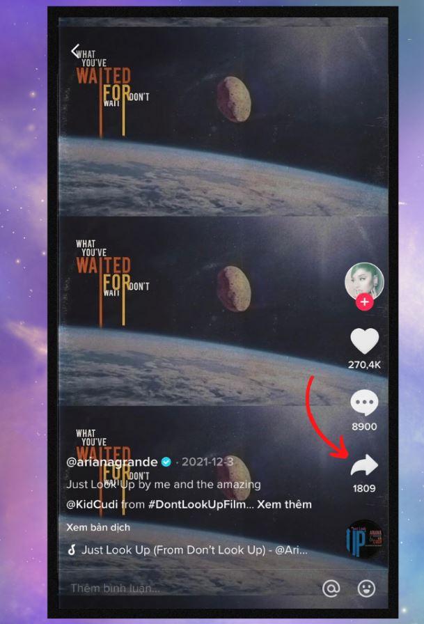 sao-chep-lien-ket-tiktok-2