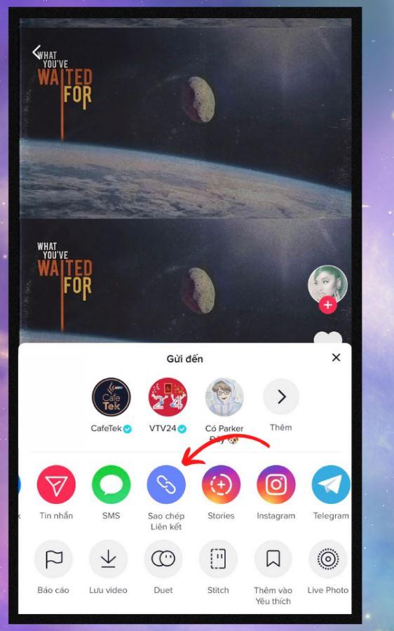 sao-chep-lien-ket-tiktok-3