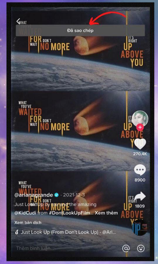 sao-chep-lien-ket-tiktok-4