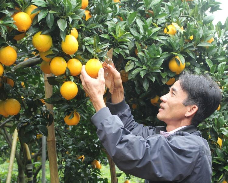 3 định luật của hiệu quả: chuyển hóa tương lai mặc định