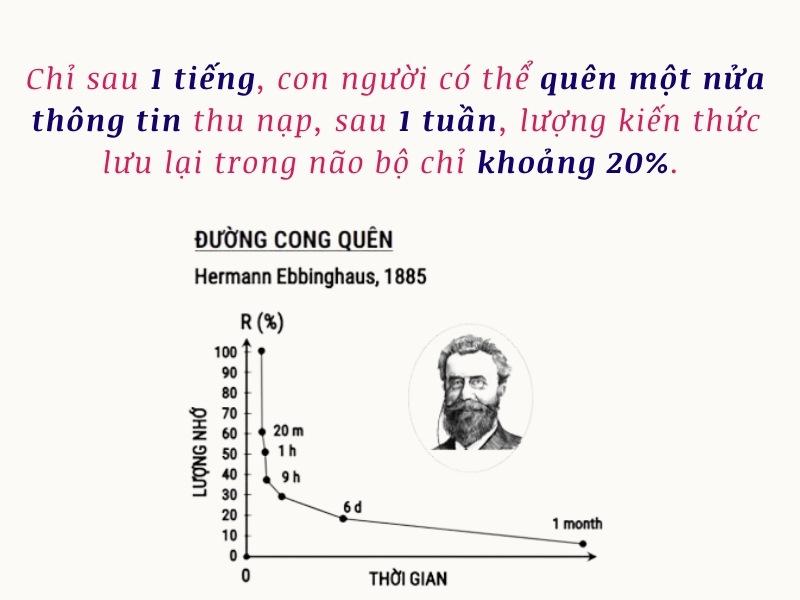 Nếu không ôn luyện, học ngay làm luôn thì có khả năng cao con người quen hết kiến thức được học chỉ trong thời gian ngắn