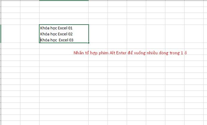 Nhấn Alt Enter để xuống dòng trong 1 ô tính