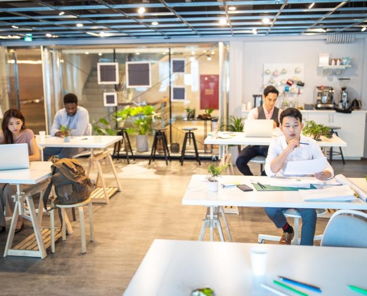 Môi trường làm việc vô cùng quan trọng để phát triển nhân viên và cải thiện hiệu suất