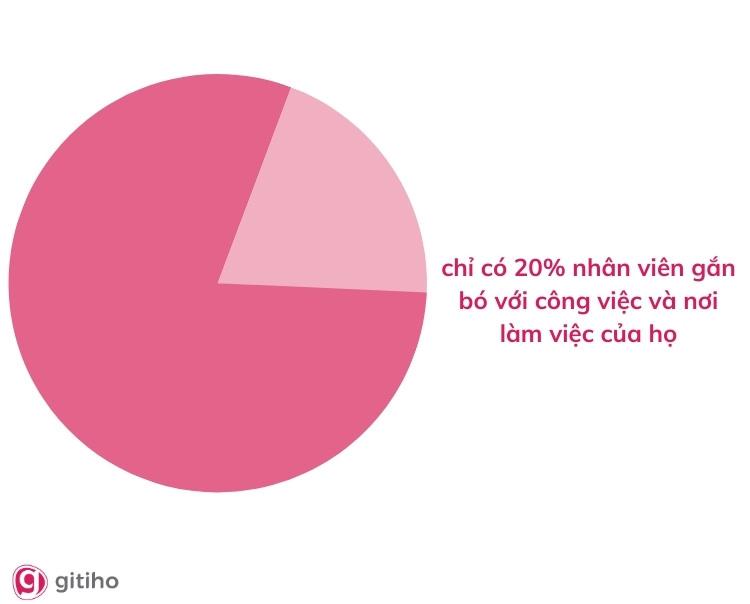 Chỉ có 20% nhân viên gắn bó với công việc và nơi làm việc của họ