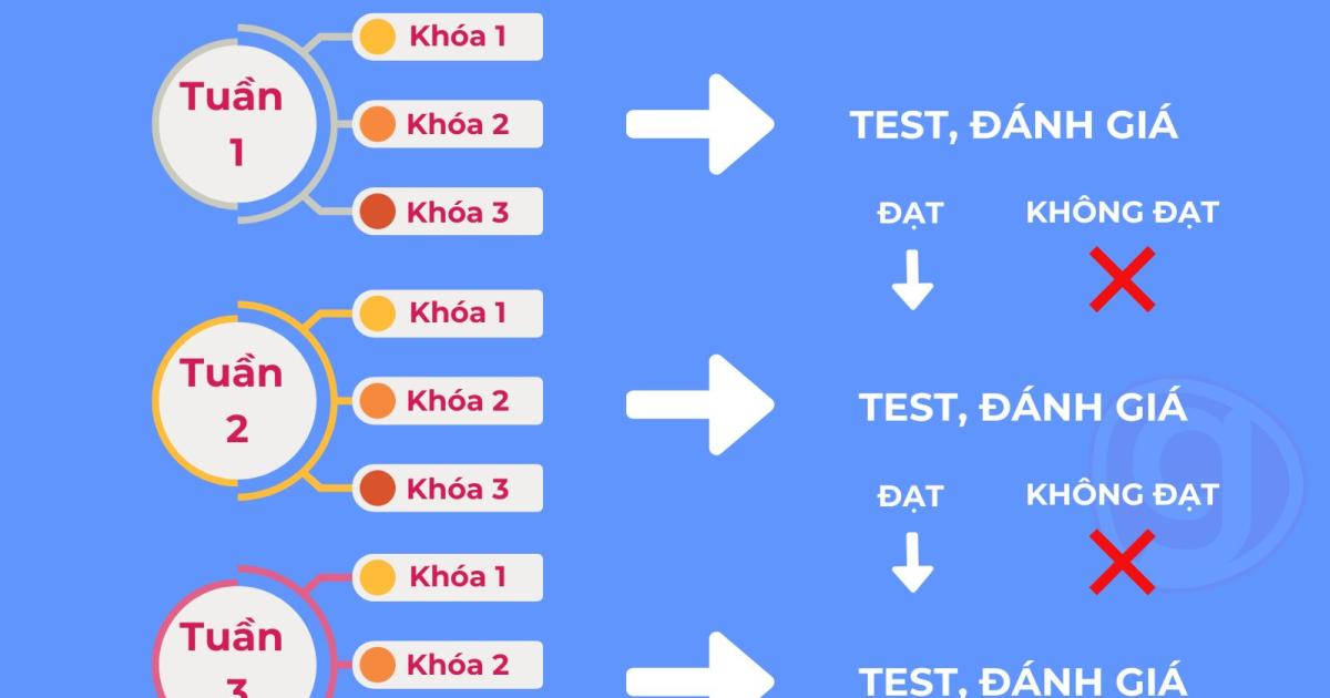 Cách Công ty Sơn Thanh đào tạo nhân viên với tính năng lộ trình học tập trên hệ thống LMS