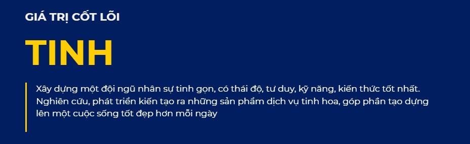 Giá trị cốt lõi “Tinh” của Mắt Việt Group