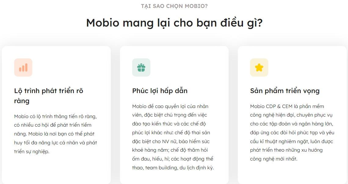 Sử dụng 89 gói sub - Mobio thành công khi cá nhân hóa học tập và xây dựng lộ trình phát triển cho đội ngũ