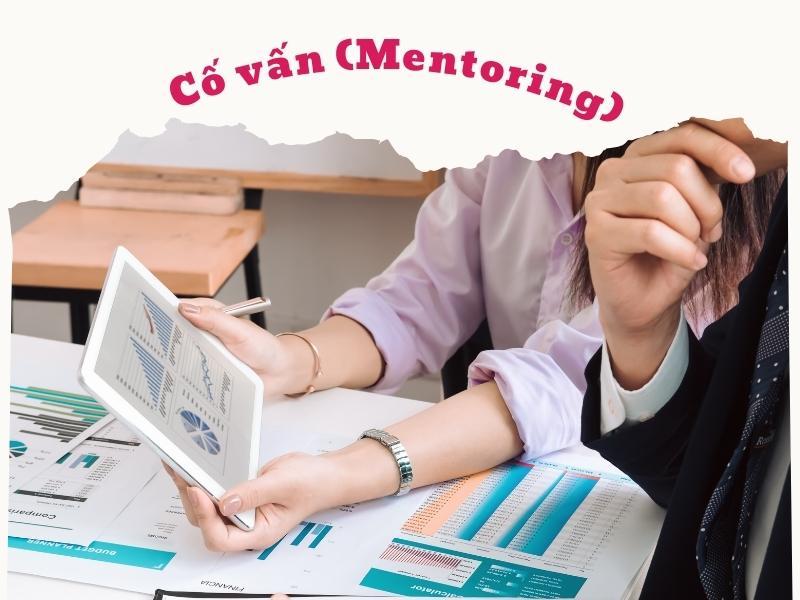 Cố vấn (Mentoring)