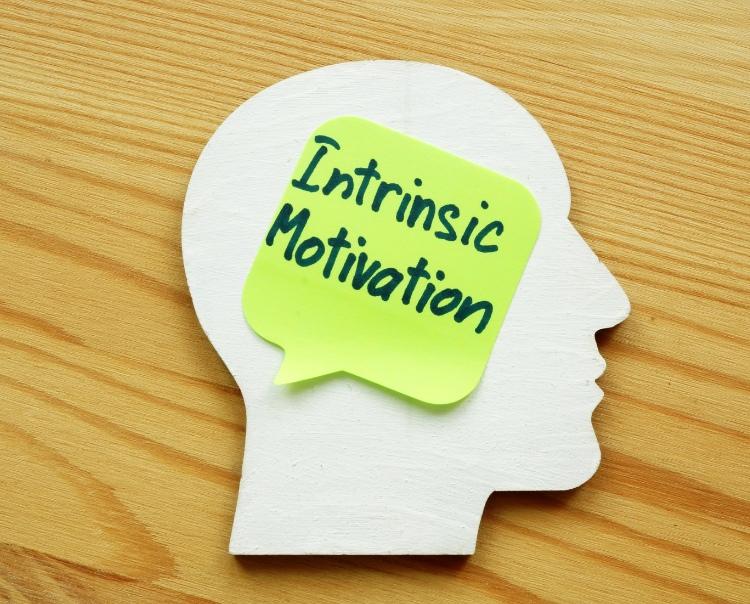 Động lực nội tại xuất phát từ mong muốn cá nhân của mỗi người