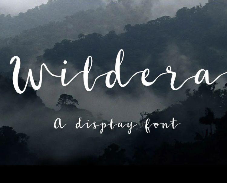 Chia sẻ 10+ font chữ calligraphy đẹp mê hoặc bạn không nên bỏ qua