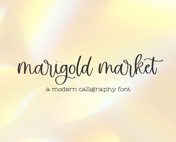 Chia sẻ 10+ font chữ calligraphy đẹp mê hoặc bạn không nên bỏ qua