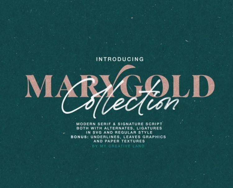 Chia sẻ 10+ font chữ calligraphy đẹp mê hoặc bạn không nên bỏ qua