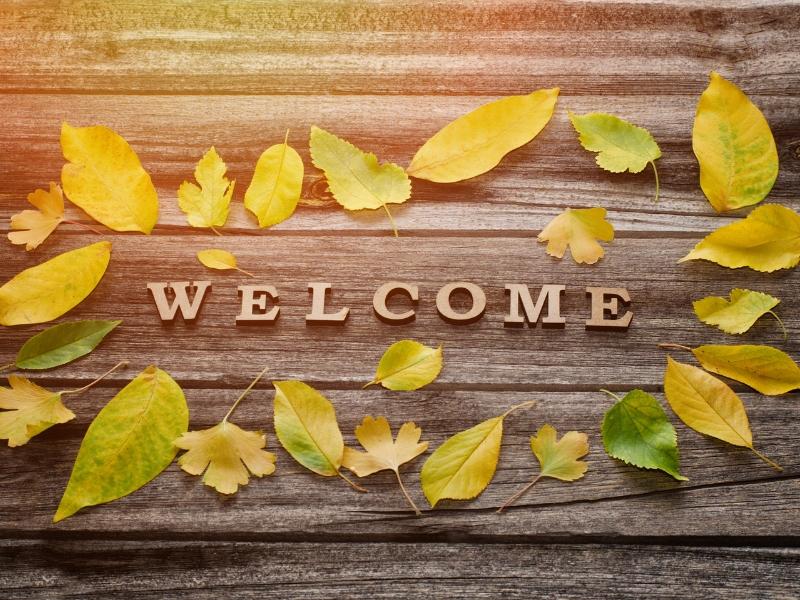 Slide lời chào gần gũi với thiên nhiên 