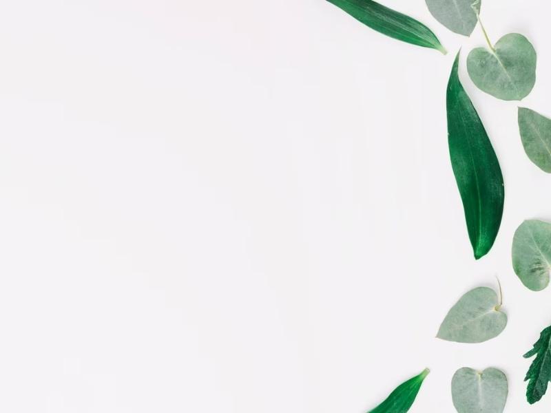 Tải về 99+ hình nền powerpoint đơn giản tinh tế mới nhất 2023