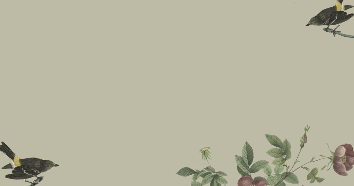 50+ hình nền Powerpoint văn học giúp bài thuyết trình thêm đặc sắc