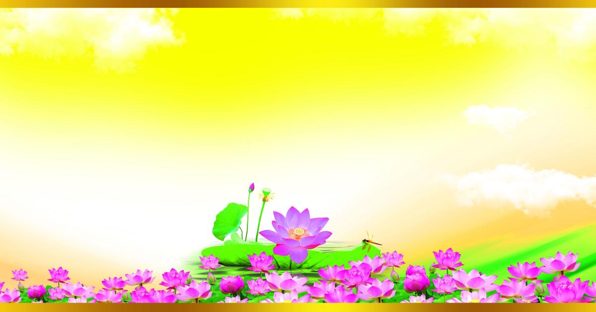 Hình nền 06